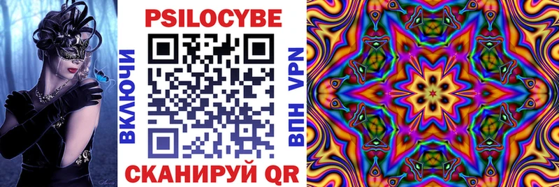 Галлюциногенные грибы Psilocybine cubensis  Звенигород 